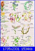 Alfabeti  fiori ( Vedi ALFABETI ) - schemi e link-img155-jpg