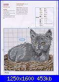 Gatti e Gattini - schemi e link-cat-11-jpg