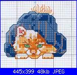 Gatti e Gattini - schemi e link-gattino-con-berretto-blu-jpg