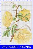 Rose, Roses, Rosas, Rosen - schemi e link-antique-rose-jpg