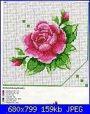 Rose, Roses, Rosas, Rosen - schemi e link-rosas_-65-jpg