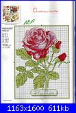 Rose, Roses, Rosas, Rosen - schemi e link-rosa1-jpg