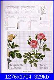 Rose, Roses, Rosas, Rosen - schemi e link-chart-2-jpg