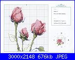 Rose, Roses, Rosas, Rosen - schemi e link-rose-1-jpg