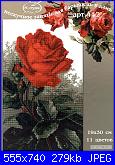 Rose, Roses, Rosas, Rosen - schemi e link-apt-442-jpg