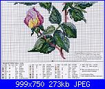 Rose, Roses, Rosas, Rosen - schemi e link-5-jpg