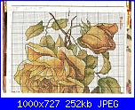 Rose, Roses, Rosas, Rosen - schemi e link-4-jpg