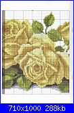 Rose, Roses, Rosas, Rosen - schemi e link-5-jpg