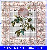 Rose, Roses, Rosas, Rosen - schemi e link-escanear0003-jpg