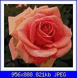 Rose, Roses, Rosas, Rosen - schemi e link-rr20-jpg