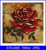 Rose, Roses, Rosas, Rosen - schemi e link-22-jpg