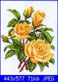 Rose, Roses, Rosas, Rosen - schemi e link-floral-130-jpg