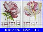 Rose, Roses, Rosas, Rosen - schemi e link-02-jpg