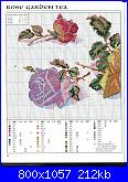 Rose, Roses, Rosas, Rosen - schemi e link-beyond-garden-ga-116-jpg