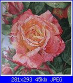 Rose, Roses, Rosas, Rosen - schemi e link-259304-17411-282253-jpg