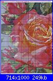 Rose, Roses, Rosas, Rosen - schemi e link-259304-0b8b8-282253-jpg