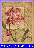 Rose, Roses, Rosas, Rosen - schemi e link-259304-4e24f-28225-51-jpg