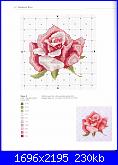 Rose, Roses, Rosas, Rosen - schemi e link-jnm-1-51-jpg
