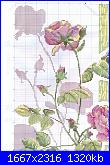 Rose, Roses, Rosas, Rosen - schemi e link-1-jpg