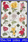 Rose, Roses, Rosas, Rosen - schemi e link-rose-1-foto-jpg