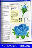 Rose, Roses, Rosas, Rosen - schemi e link-img142-jpg