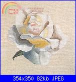 Rose, Roses, Rosas, Rosen - schemi e link-dmc-xc1041-white-rose-1-jpg