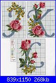 Alfabeti  fiori ( Vedi ALFABETI ) - schemi e link-abc_rose4-jpg