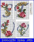 Alfabeti  fiori ( Vedi ALFABETI ) - schemi e link-abc_rose7-jpg