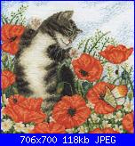 Gatti e Gattini - schemi e link-dmc-bk130-poppy-cat-jpg