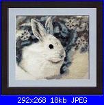 Conigli e Coniglietti - schemi e link-coniglio-2-jpg