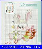 Conigli e Coniglietti - schemi e link-hpqscan0023-jpg