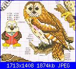 Gufi e Civette - schemi e link-gufo1-jpg