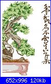 Alberi e Foglie - schemi e link-bonsai-1-jpg