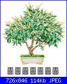 Alberi e Foglie - schemi e link-bonsai-2-jpg