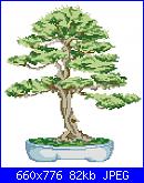 Alberi e Foglie - schemi e link-bonsai-3-jpg