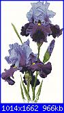 Iris*( Vedi FIORI ) - schemi e link-iris-ricamo-jpg