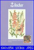 Fiori, fiori, fiori - schemi e link-pce936-flowering-foxgloves-anchor-jpg