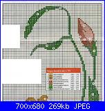 Donne...- schemi e link-97046341_4152860_303782970c162935243m750x740ua0397%5B1%5D-jpg