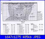 Gatti e Gattini - schemi e link-154015-d8e8d-77607205-u83e8c-jpg