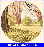 Paesaggi* - schemi e link-jcdw241-daffodil-wood-jpg