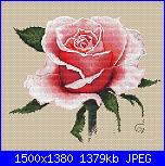 Rose, Roses, Rosas, Rosen - schemi e link-cover-jpg