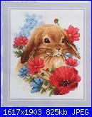 Conigli e Coniglietti - schemi e link-cover-jpg