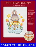 Conigli e Coniglietti - schemi e link-cover-jpg