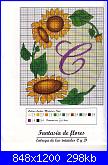Alfabeti  fiori ( Vedi ALFABETI ) - schemi e link-c-jpg