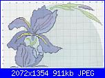 Iris*( Vedi FIORI ) - schemi e link-ovale-jpg