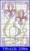 Iris*( Vedi FIORI ) - schemi e link-iris-deco-1-jpg