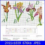 Iris*( Vedi FIORI ) - schemi e link-abc-iris-2-jpg