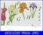Iris*( Vedi FIORI ) - schemi e link-abc-iris-3-jpg