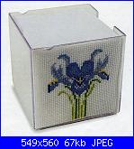 Iris*( Vedi FIORI ) - schemi e link-scatola-con-iris-jpg