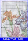 Iris*( Vedi FIORI ) - schemi e link-cuscino-con-iris-jpg
